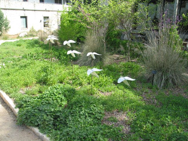 20100403-12-AustinTX-LbJWC-Whimsey-Birds