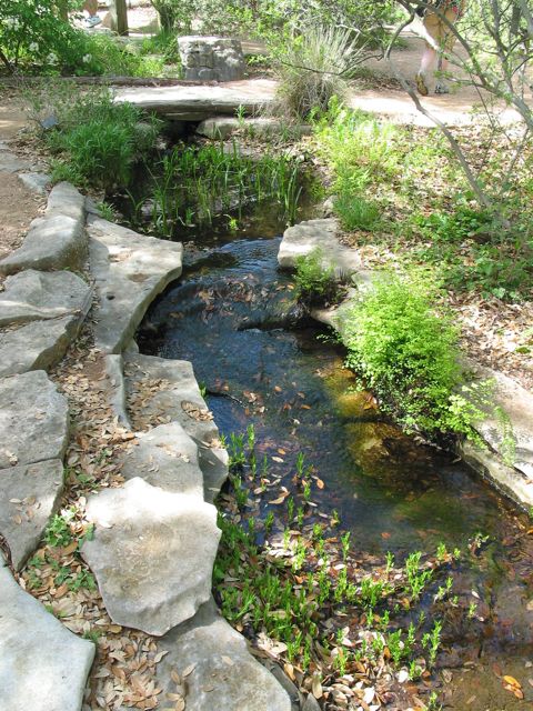 20100403-14-AustinTX-LbJWC-Creek