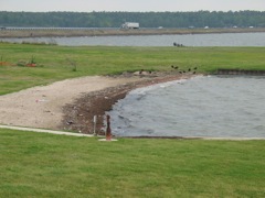 20100407-01-OnalaskaTX-CG-Beach