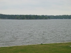 20100407-02-OnalaskaTX-CG-Lake