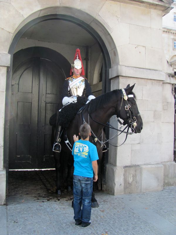 Horse Guardsman