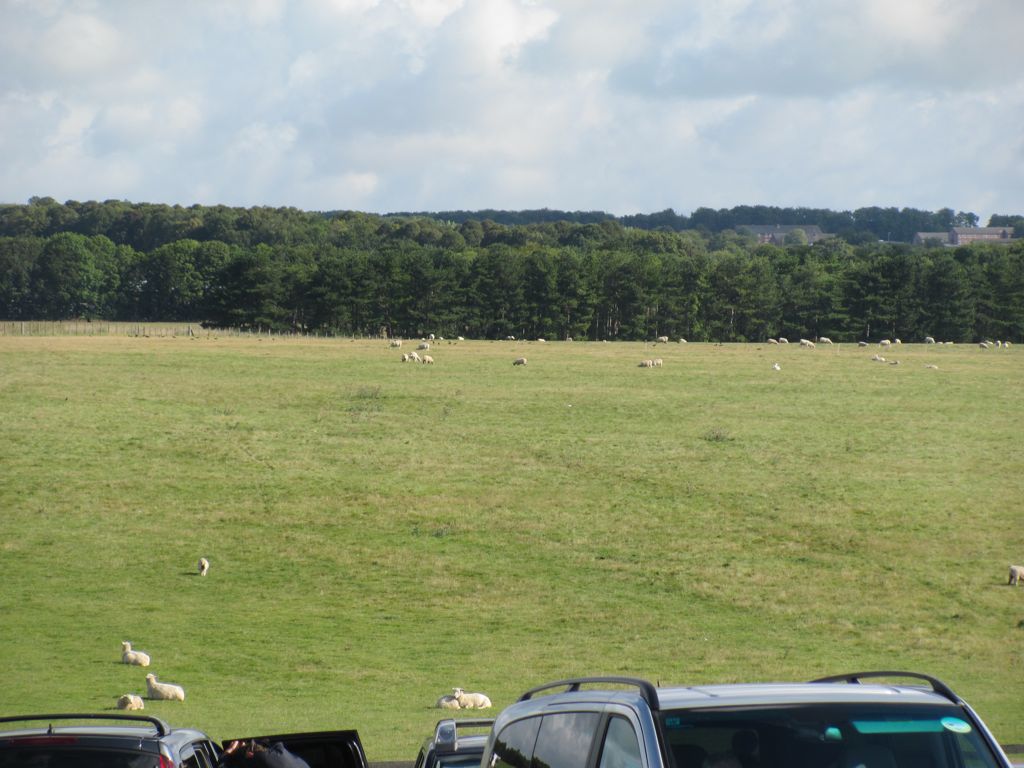 Path coming to Stonehenge