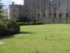 Windsor Castle