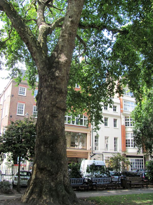 Soho Square