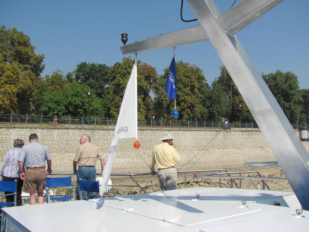 Dolphins on the Danube