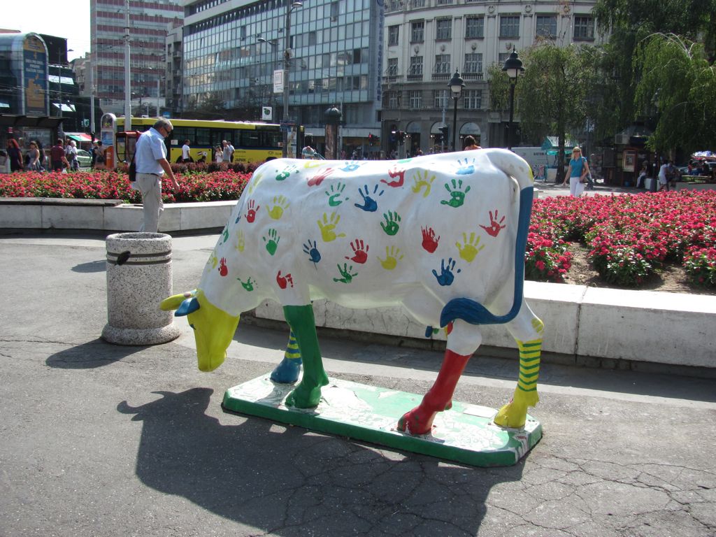 Cow