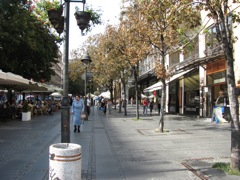 Downtown Street