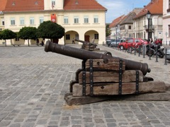 Cannon