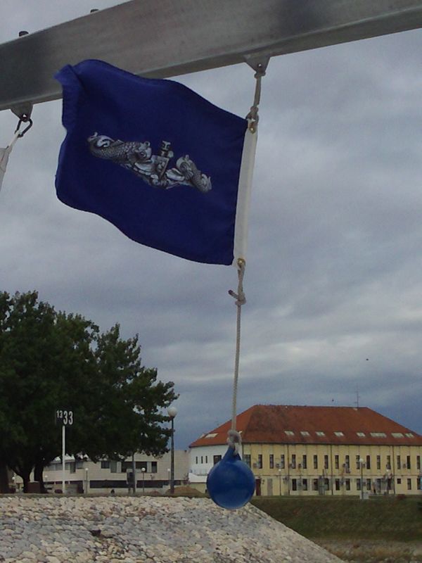 Dolphin pennant