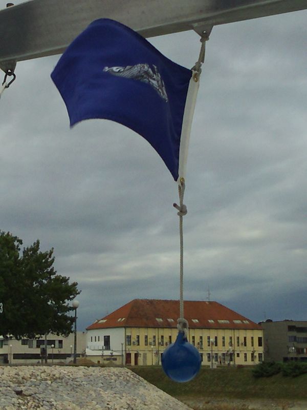 Dolphin Pennant