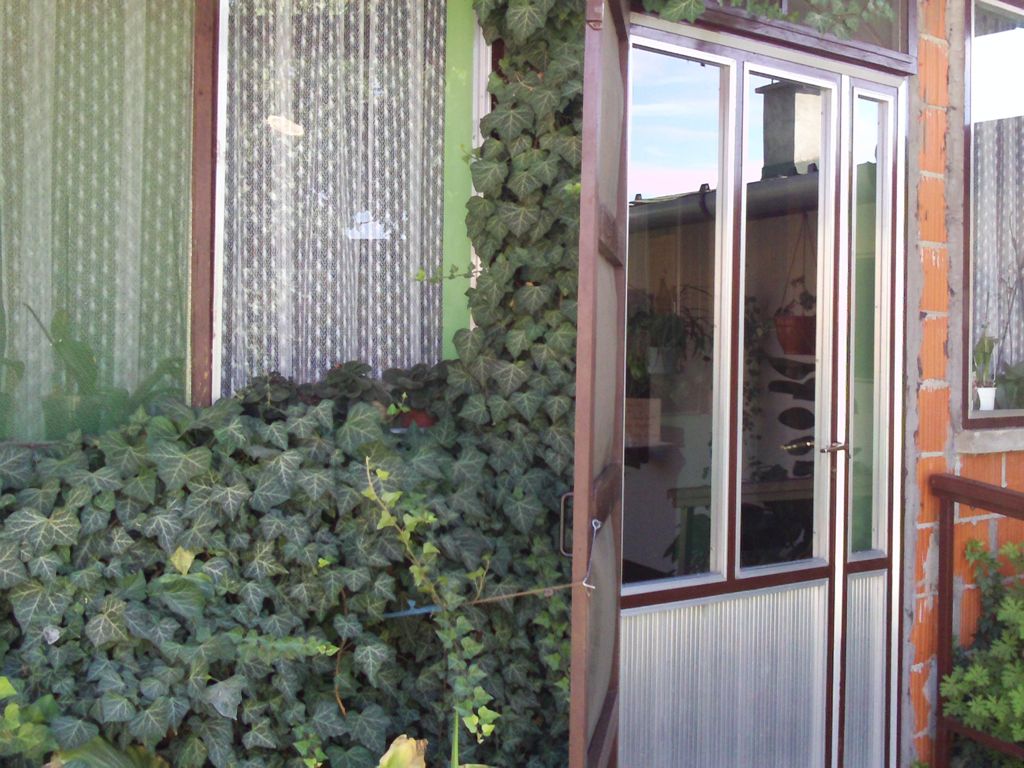 Looking into dining room