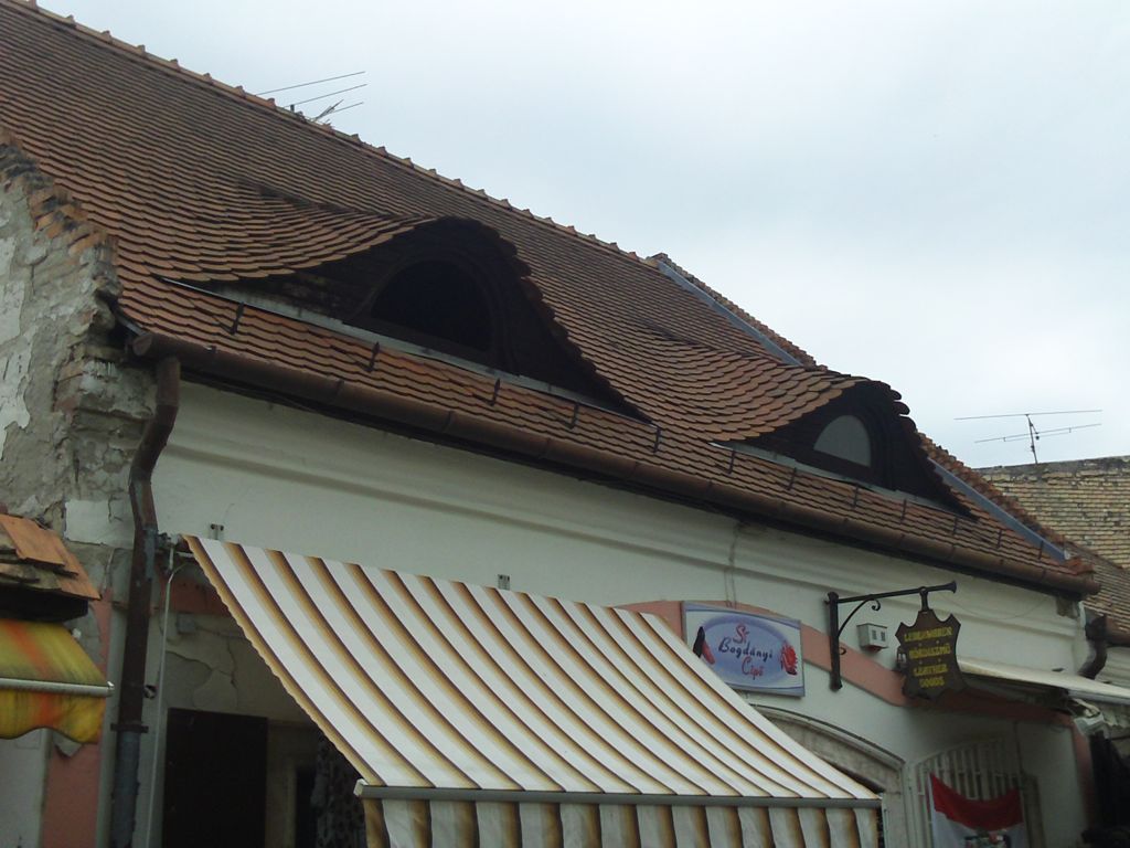 Unique Roof