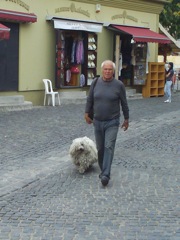 Szentendre Dog & Owner