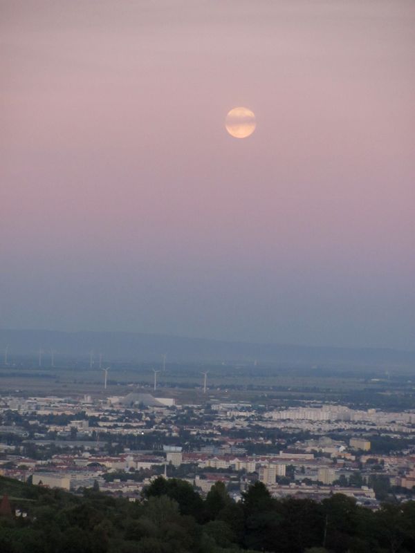 Moon over Vienna