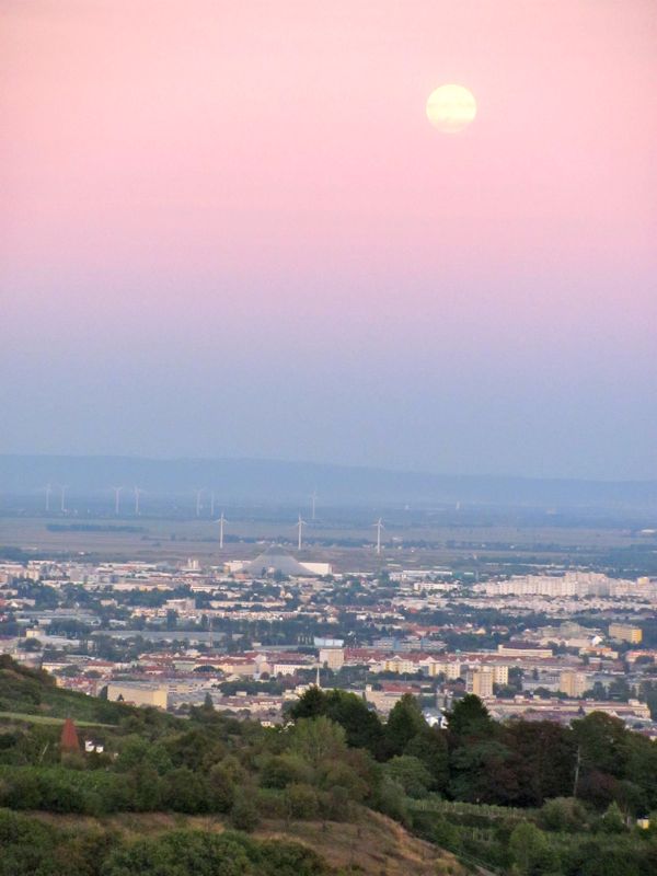 Moon over Vienna