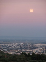 Moon & Vienna