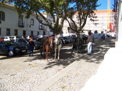 20111028-Evora