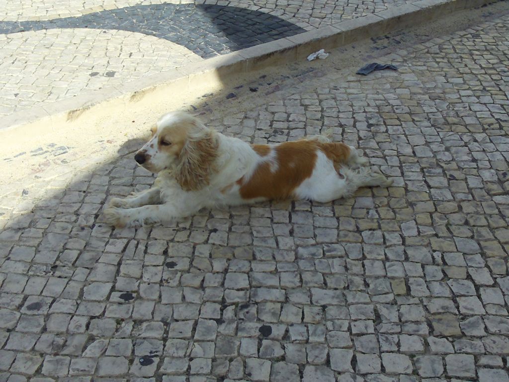 20111028-Nazare'