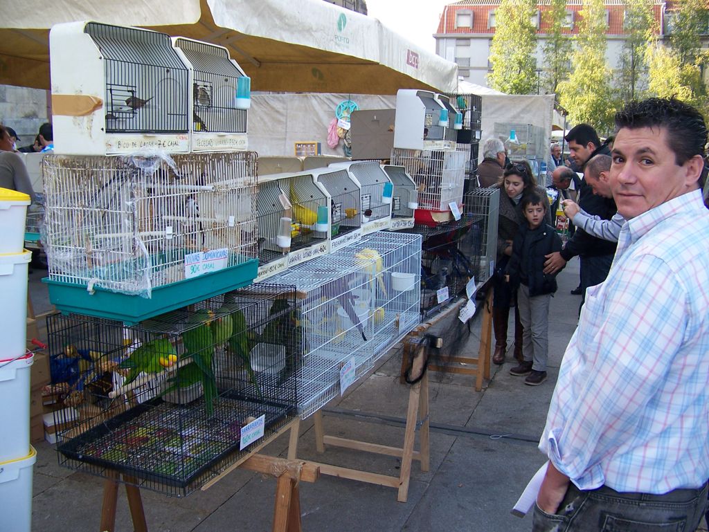 20111030-Porto-BirdMarket