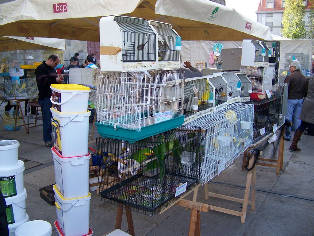 20111030-Porto-BirdMarket