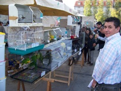 20111030-Porto-BirdMarket