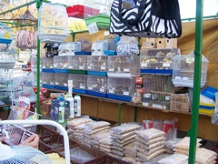 20111030-Porto-BirdMarket