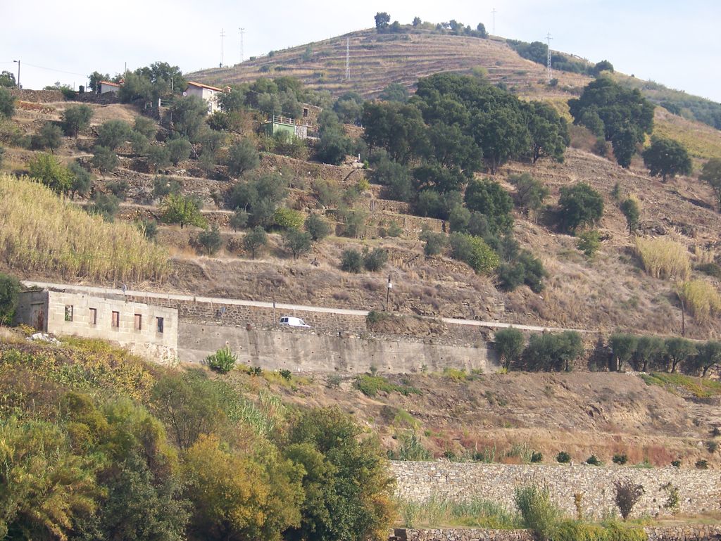 20111031-Douro-Terraces