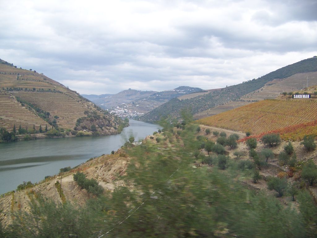 20111031-Regua'-ValleyDouro