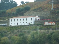 20111031-Douro-Quinta