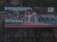 20111031-Bitetos