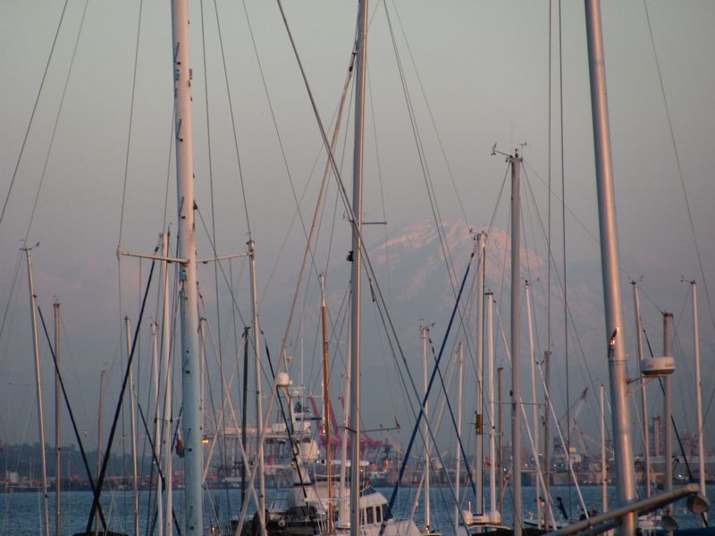 21020725-38-MtRainier-thru-masts