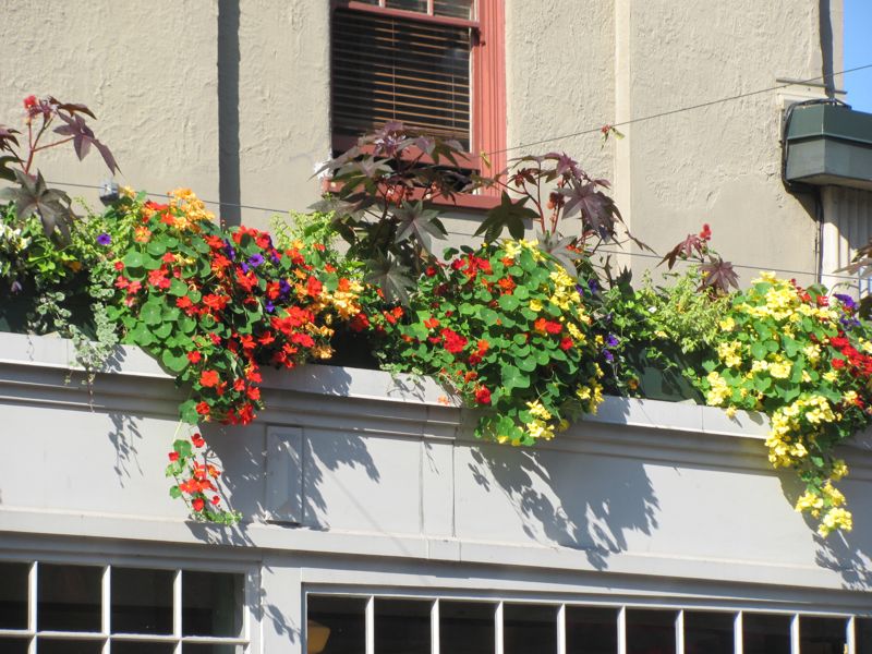 21020725-07-SeattleWindowBoxes