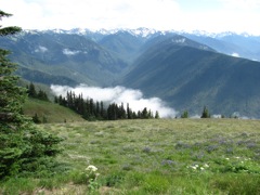 20120730-OlympicNat'Park-HurricaneRidge