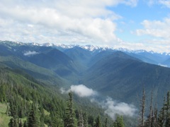 20120730-OlympicNat'Park-HurricaneRidge