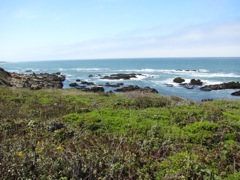 15-Pacific-Beach-Rocks