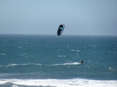 35-Pacific-Windsurfers