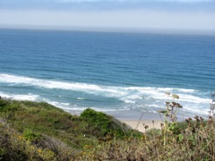 06-HalfMoonBay