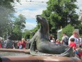 126-Fountain-Seal