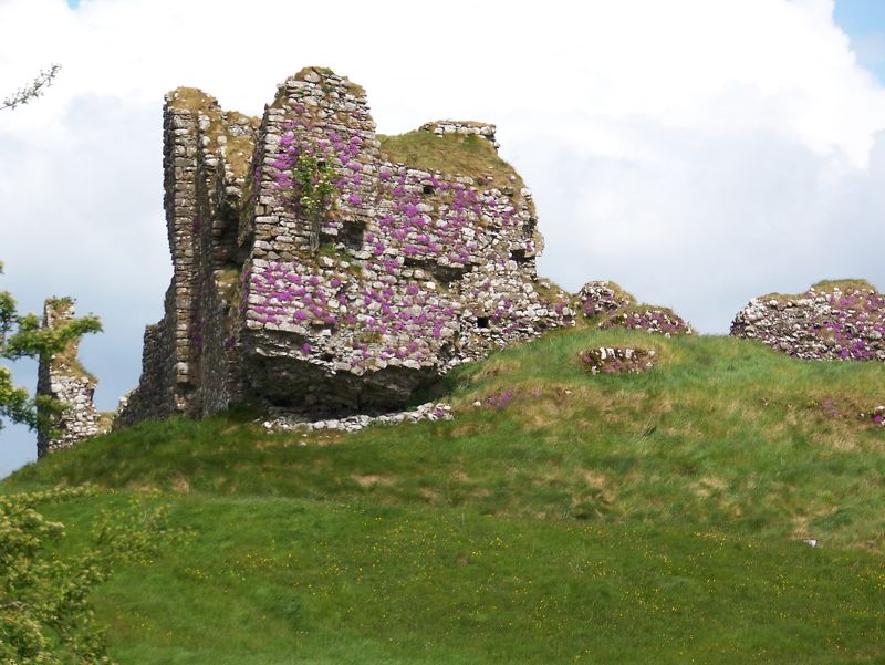 26-OldCastleAtClonmacnoise