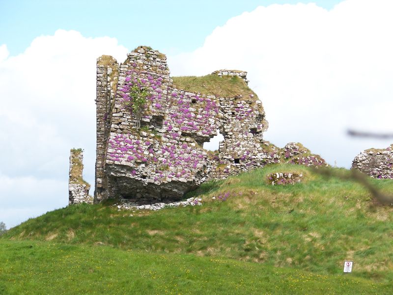 27-OldCastleAtClonmacnoise