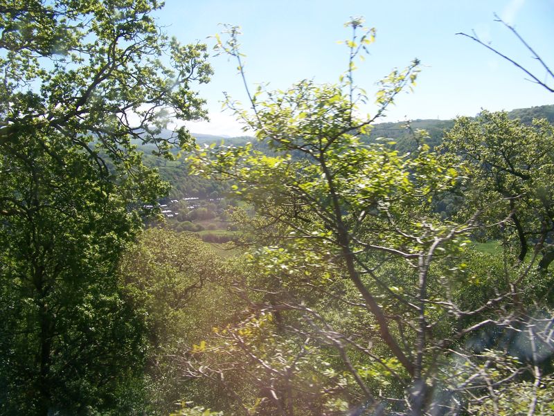 002n-Ffestiniog-Scene