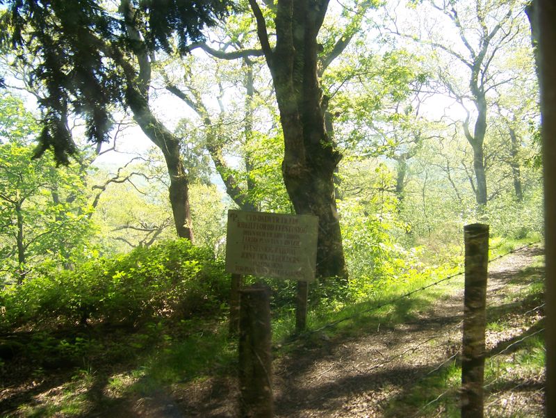 002o-Ffestiniog-Scene