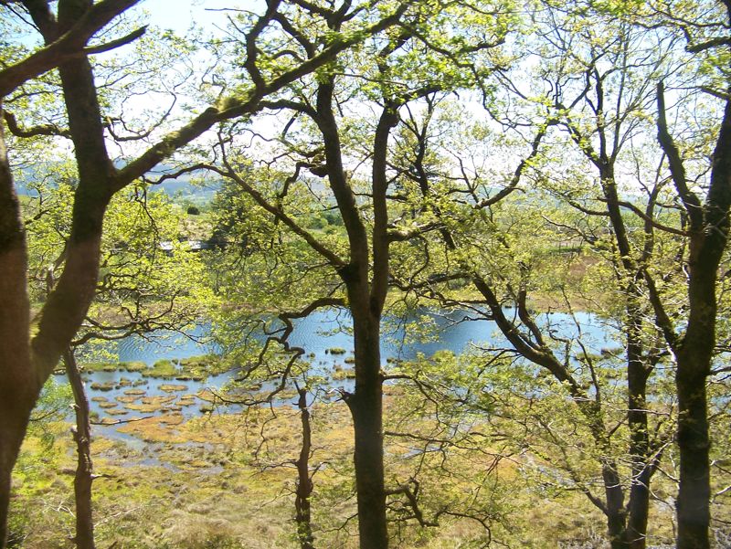 032-Ffestiniog-Scene