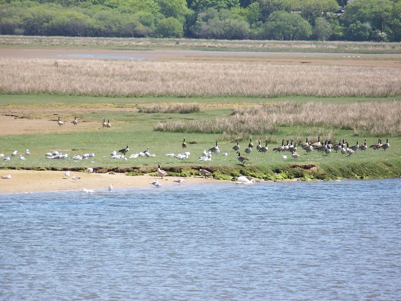 059-Porthmadog-NatureWalk