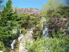 003f-Ffestiniog-Scene-Waterfall