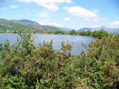 057-Porthmadog-NatureWalk