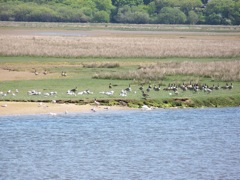 059-Porthmadog-NatureWalk