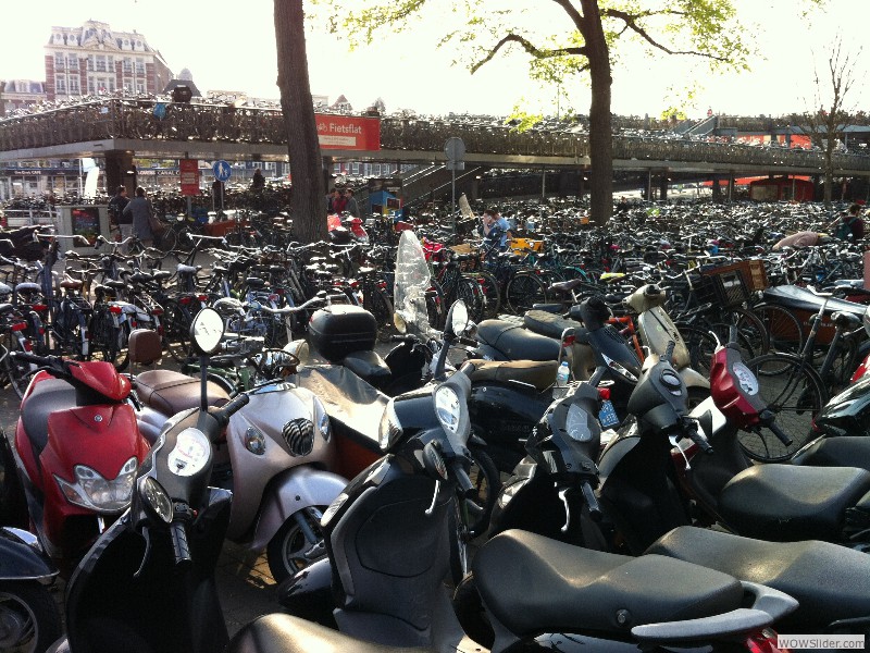 12-Bikes