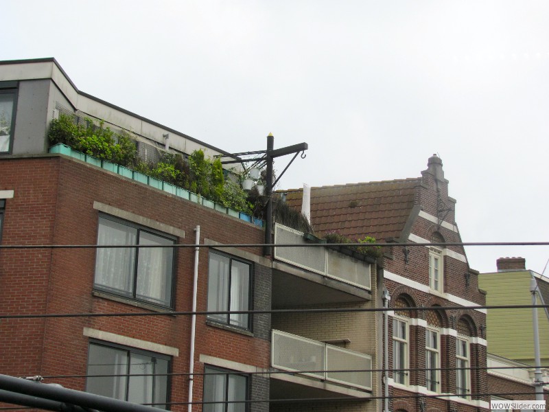 031 roof garden