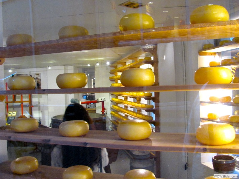 079 cheese shop